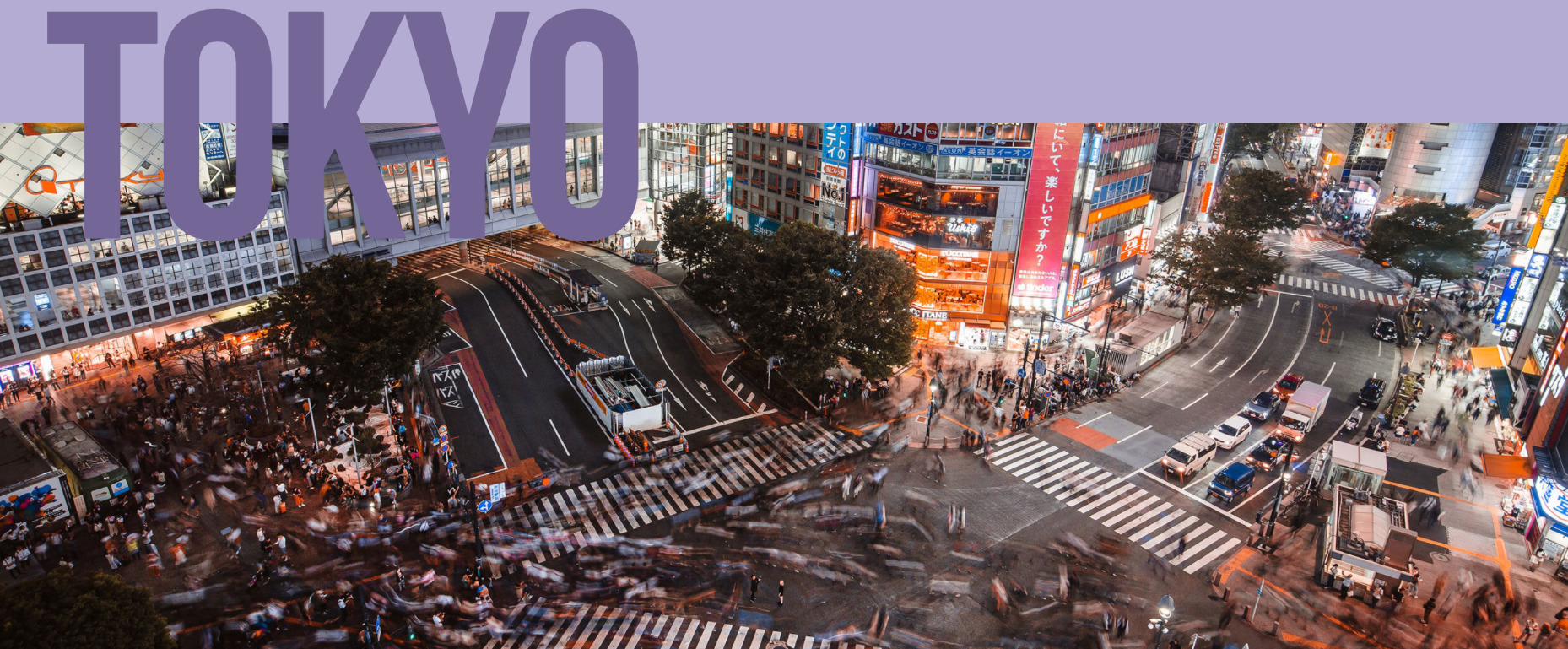 NIH Tokyo homepage header